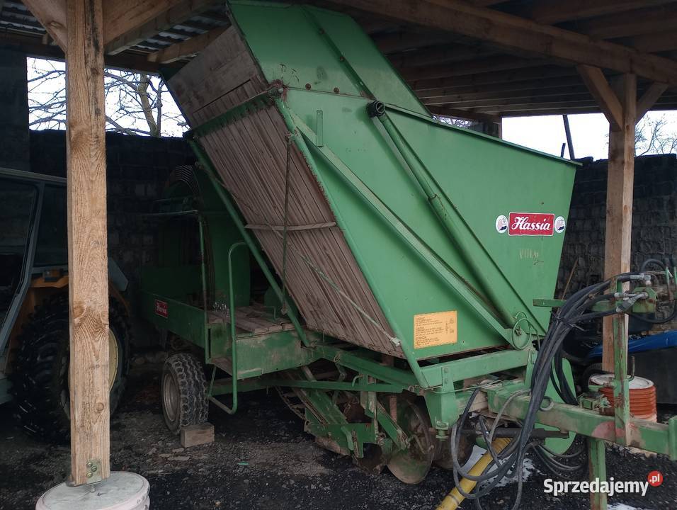 Kombajn ziemniaczany hassia Bolko anna śląskie Lelów