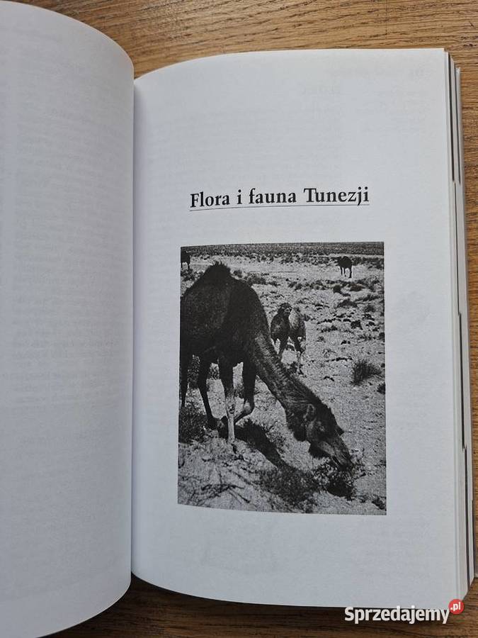 TunezjaDavid Willett Pascal lonely planet ISBN 8387696471 małopolskie Kraków