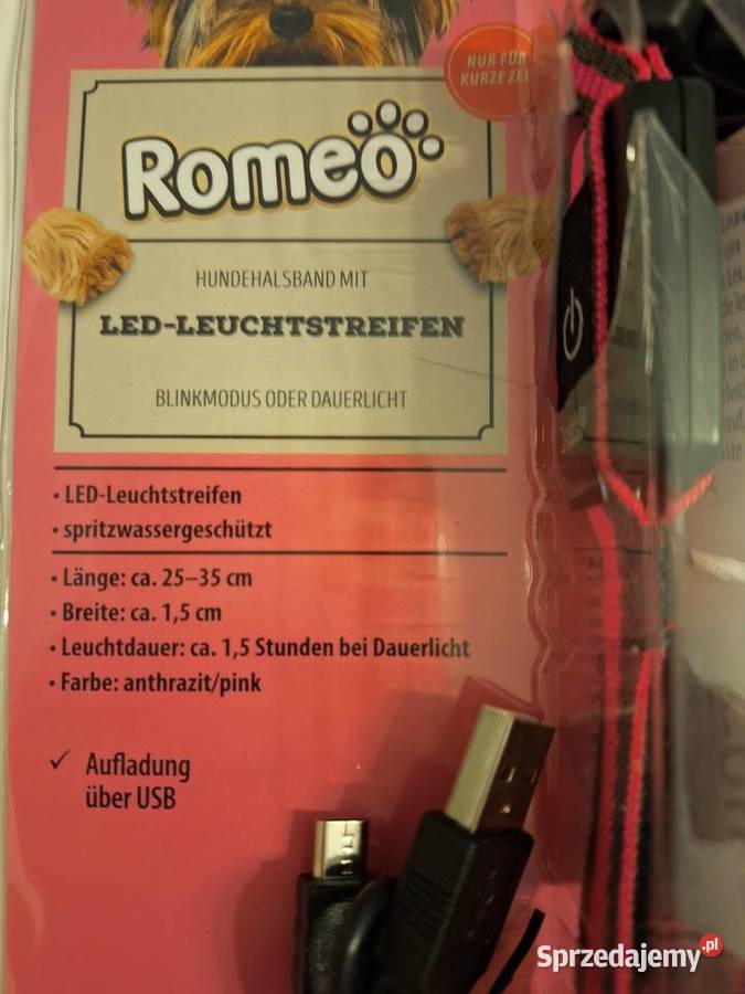 Obroża świecąca led usb świętokrzyskie Skarżysko-Kamienna