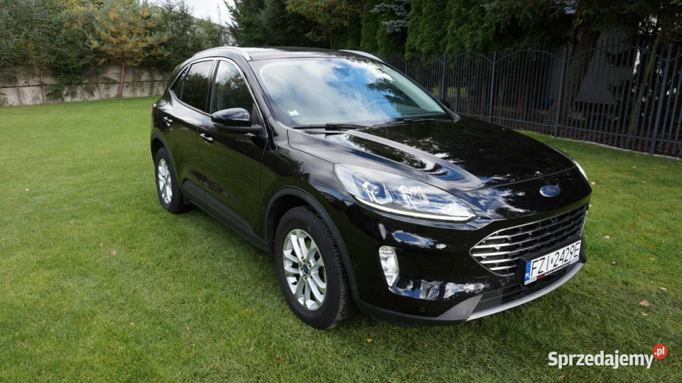 Ford Kuga super stan Gwarancja III 2019 Zielona Góra