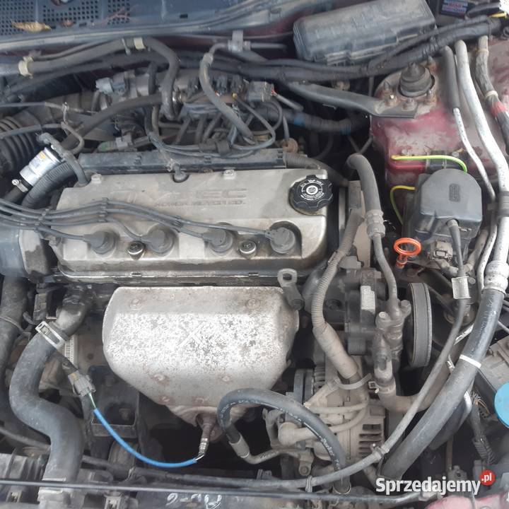 Honda Accord VI 20 benzynaczesci Biała Podlaska