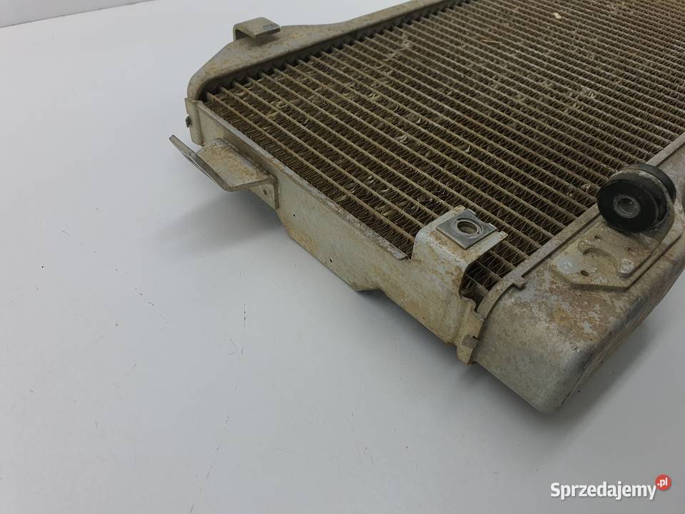 Chlodnica Suzuki Ltr 450 Pozostałe Łódź sprzedam