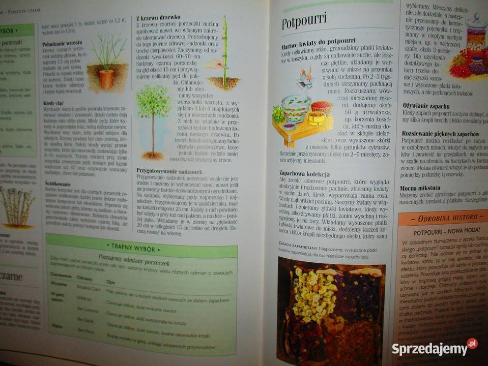1001 sposobów na piękny ogród ogrodnictwo ogród