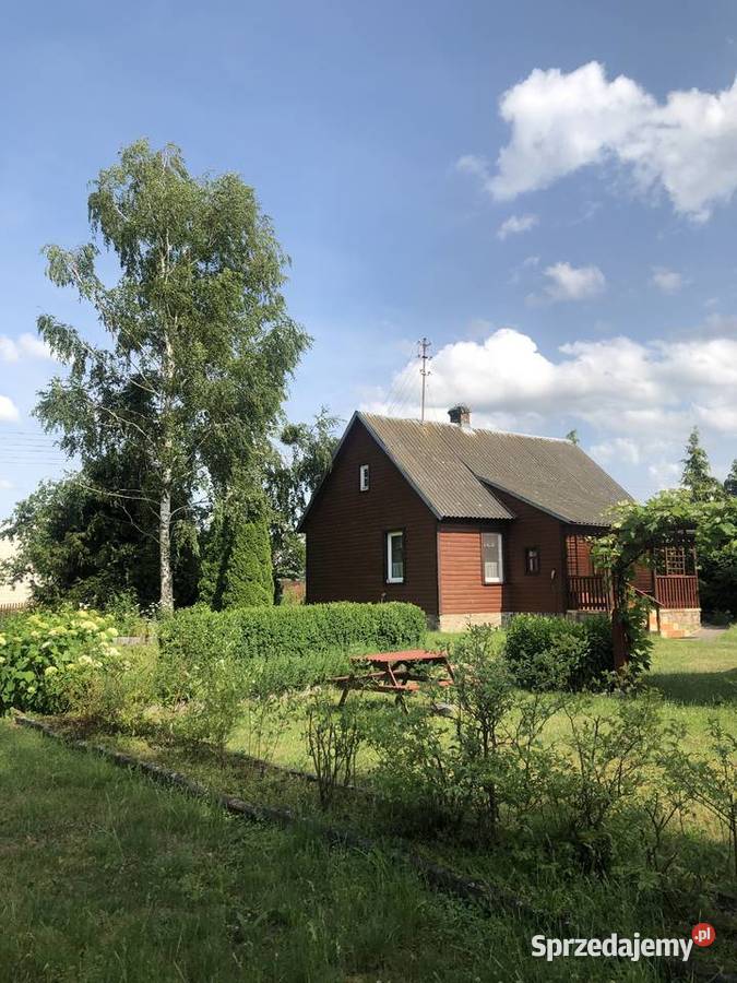 Sprzedam siedlisko w otulinie Biebrzańskiego Sprzedaż Trzcianne