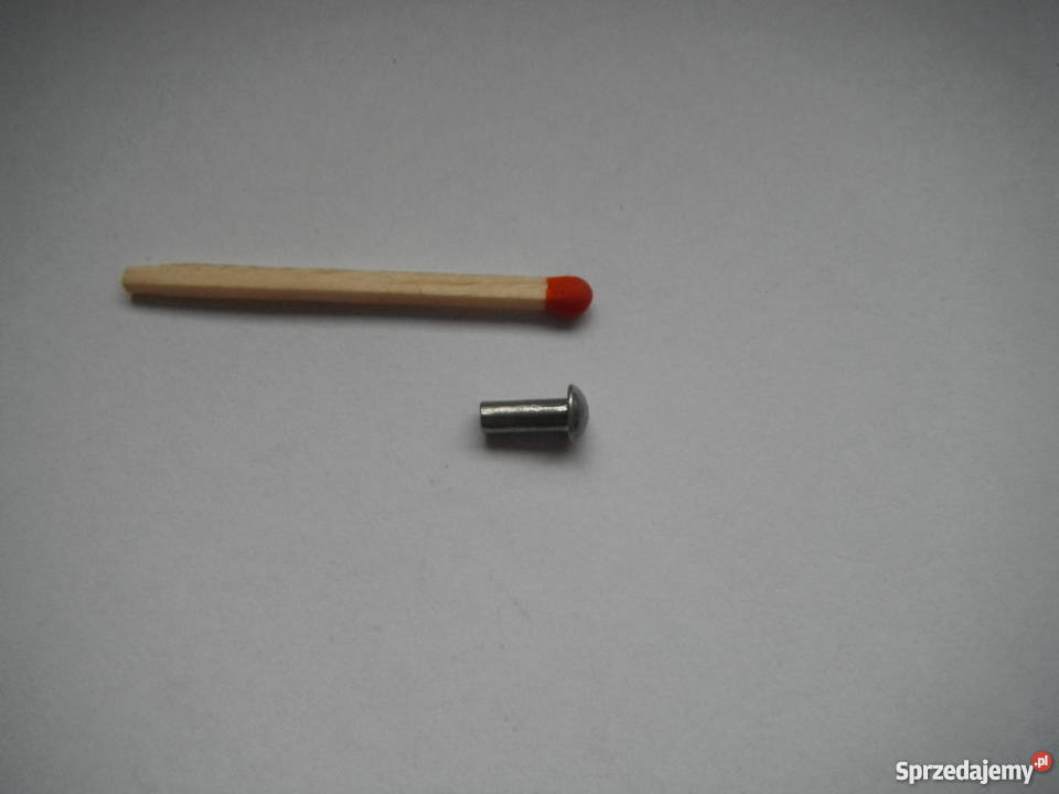 Nit 29 x 10 mm aluminiowy pełny z łbem kulistym Chlewiska sprzedam