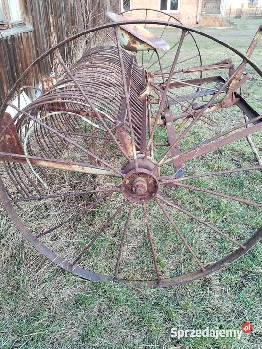 Zgrabiark konna Many sprzedam