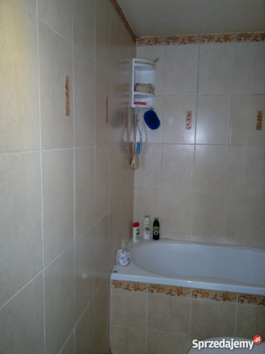 Brzeg mieszkanie 643 mkw Brzeg opolski 49300 gazowe