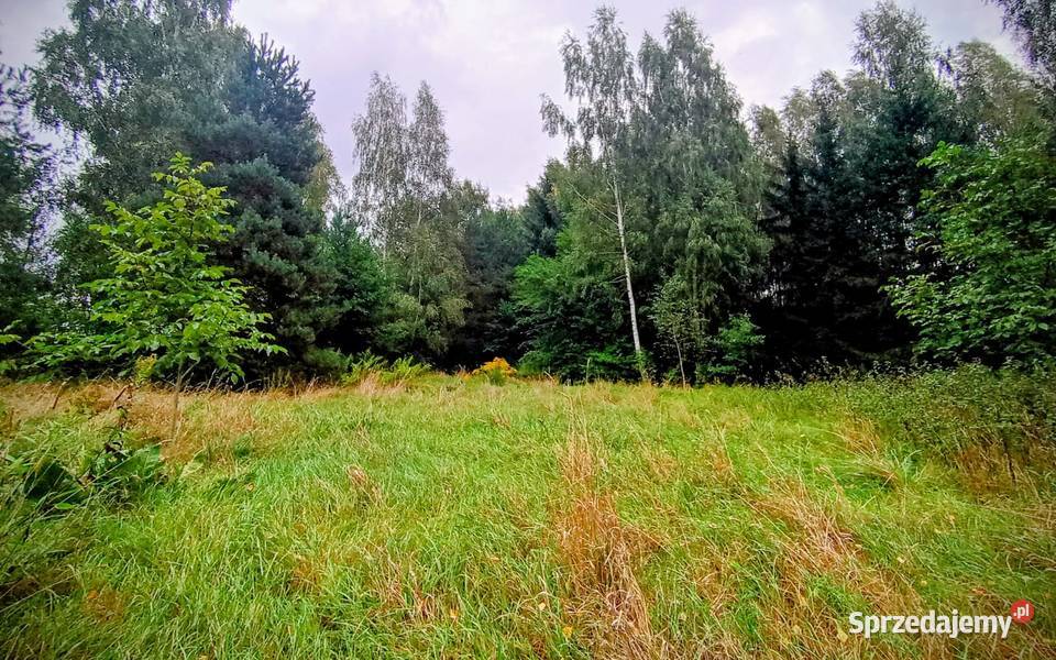 Działka Firlej Serocka pod osiedle domów Sprzedaż