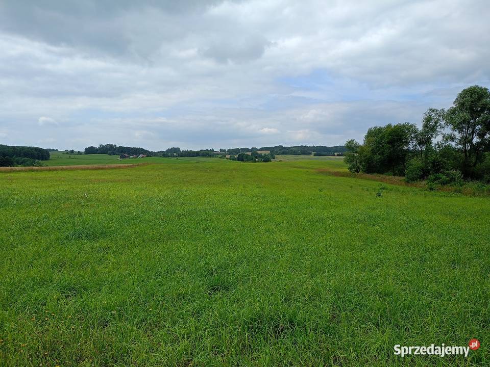 Na sprzedaż 16 działek 1012 arów Lidzbark Warmiński
