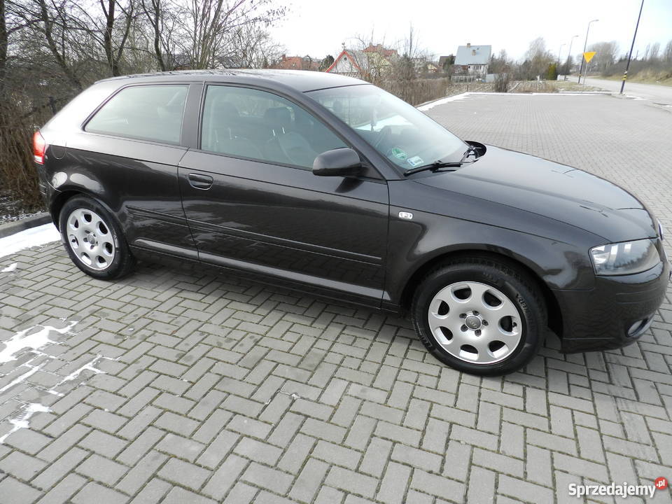 Audi A3 8P 16 Benzyna Xenon Skóra Pierwszy tempomat