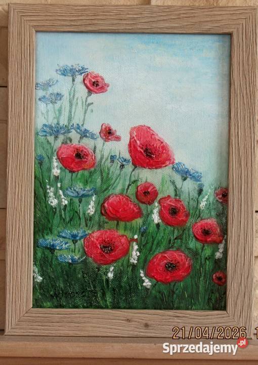 Łąka i maki Bychawka Trzecia