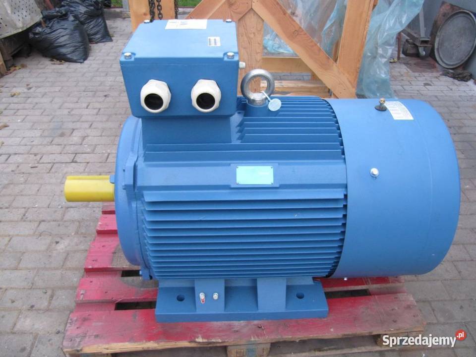Silnik elektryczny 160 Kw 2900 obr Szamotuły sprzedam