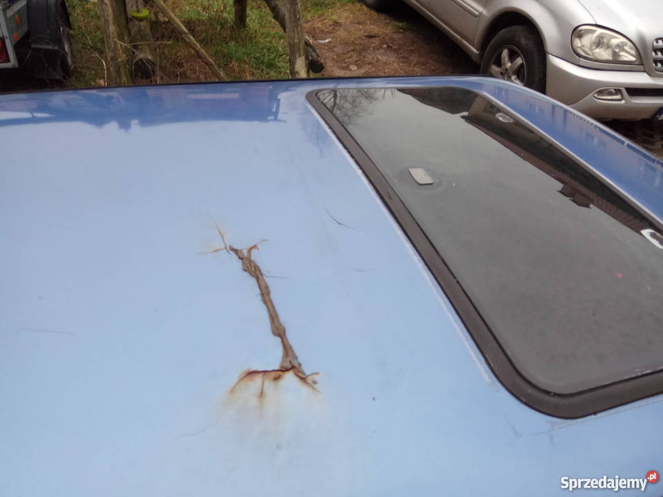 Błękitnoniebieski Golf mk2 16td Marki