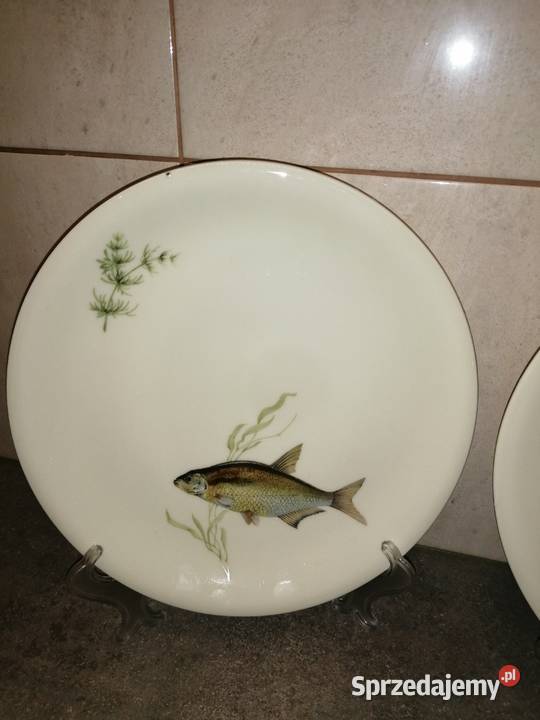 talerze z rybą porcelana Scherzer Bavaria 2 Siemianowice Śląskie