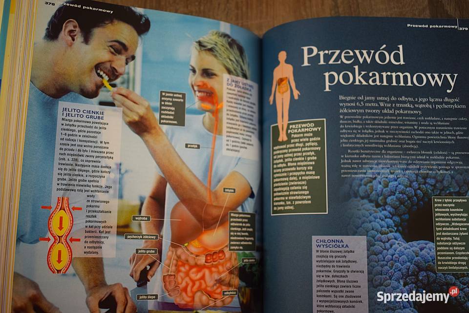 Domowa Encyklopedia Zdrowia Chełmno