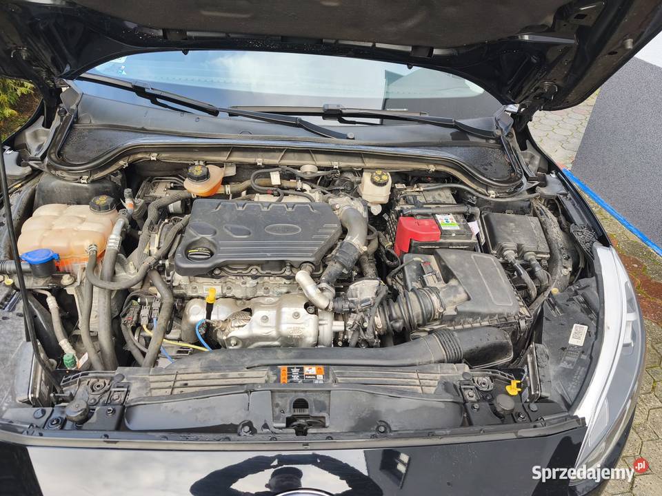 Ford Focus EcoBlue Trend Edition Business 1499cm3 Focus