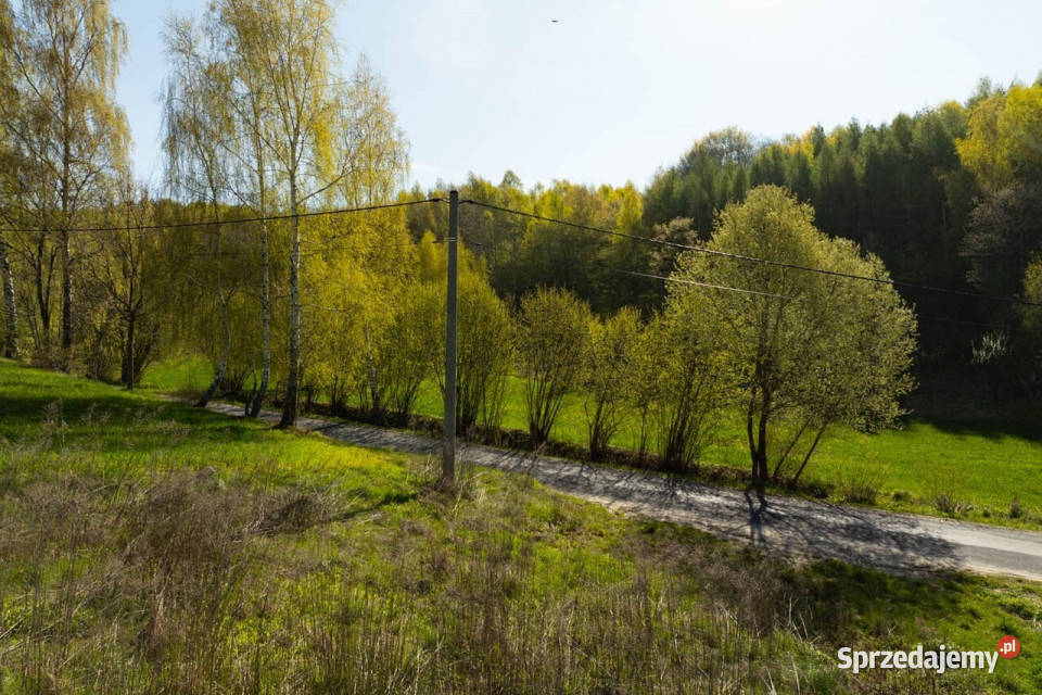 Działka budowlano rolna Sucha Gmina Trzyciąż sprzedam