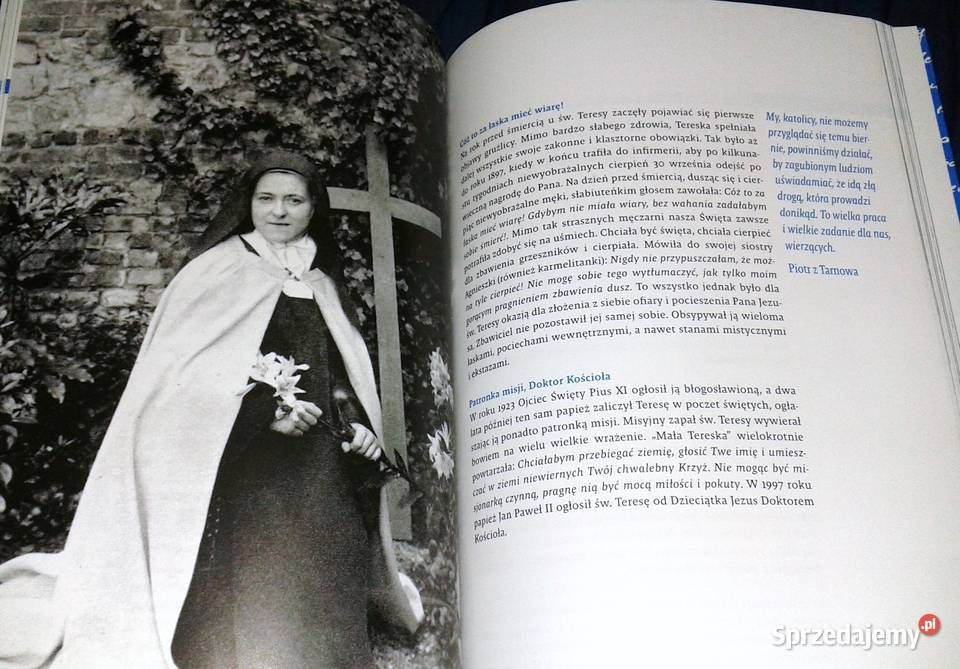 W przymierzu z Maryją Wybór artykułów Mateusz Rok wydania 2018