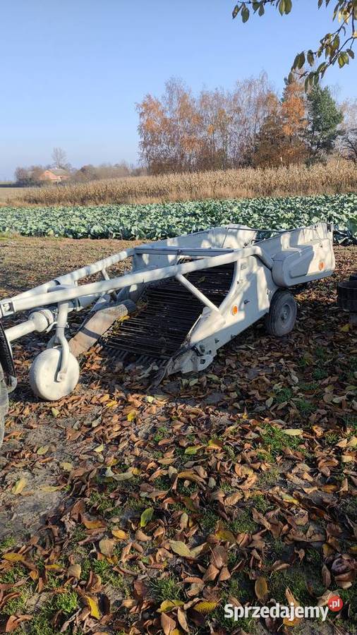 Kopaczka elewatorowadwurzędowa do ziemniaków Kopaczki Sieradz sprzedam