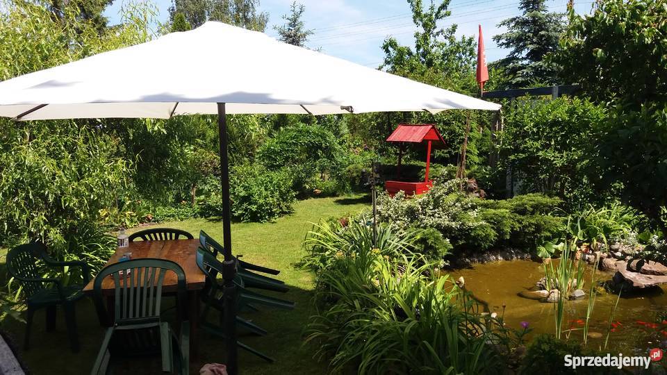 działka ROD Energetyk 1 Poznań Wincentego 1 Poznań sprzedam