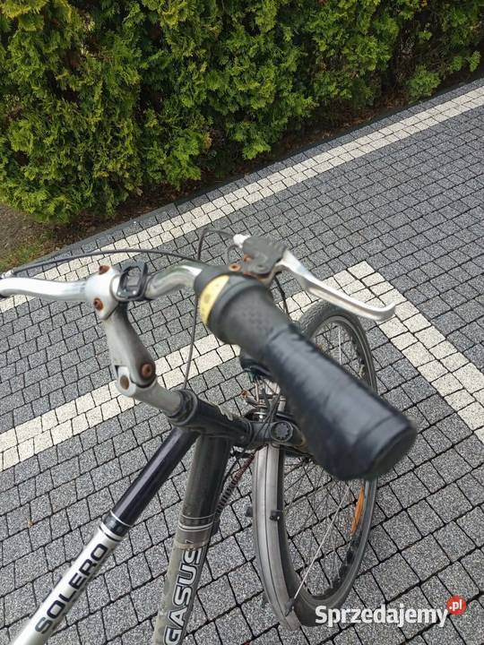 Rower miejski Pegasus Solero Alu Light solidny Besko