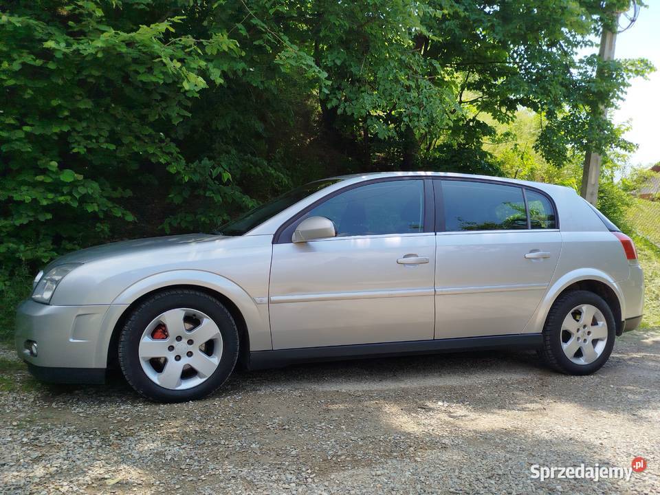 Opel Signum 22 DTI ECOTEC Cosmo 125 2003 Blizne