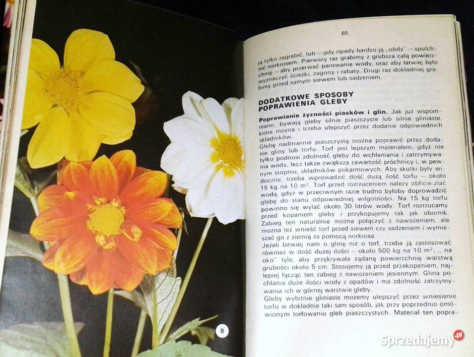 Kwiaty w ogródku Izabela Kiljańska Chełm