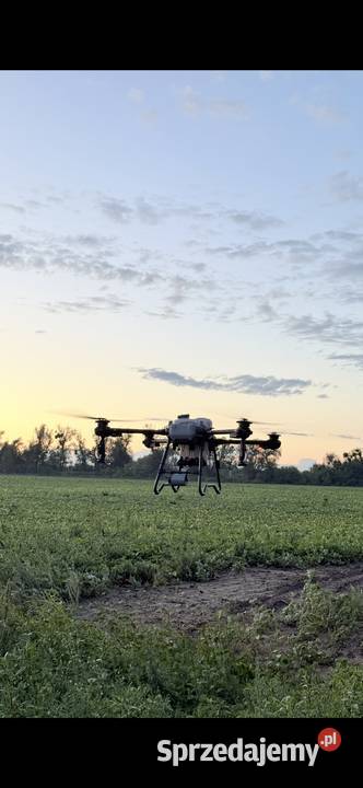 Opryski dronem rolniczym DJI Agras Próba 51015 Pozostałe usługi Słomin