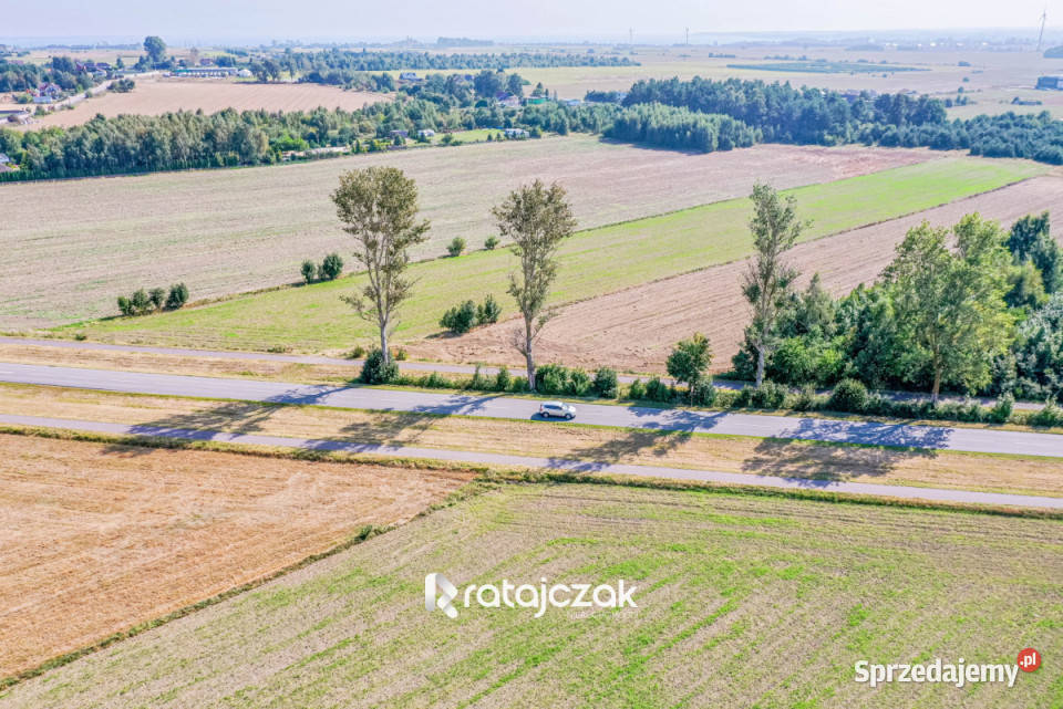 sprzedaży gruntu 9632m2 Łebcz Dr Augusta Grunty i działki