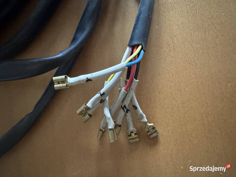 Komputer Bizon Rekord Z 058 Progowy Sygnalizator Wieluń