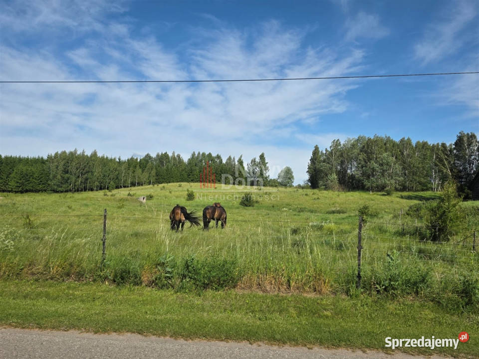 Działka 41867m Miłki warmińsko-mazurskie sprzedam