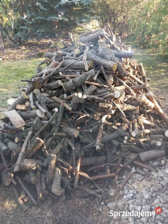 Drewno na opał Kostrzyn sprzedam