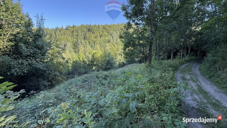 Ziemia Tylmanowa 46m sprzedam