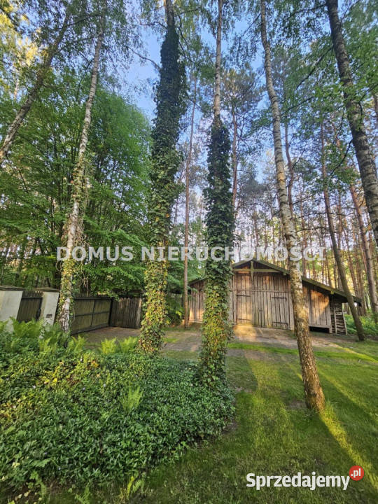 Dom wolnostojący 54621m2 Ewcin