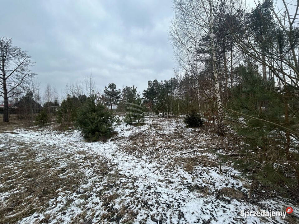 Unikalna działka usługowa ze stawem i lasem Siemiatycze sprzedam