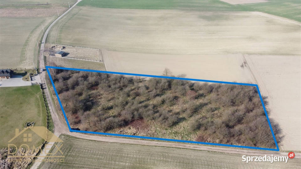 sprzedaży działki Czernica 7500m2 77m Sprzedaż