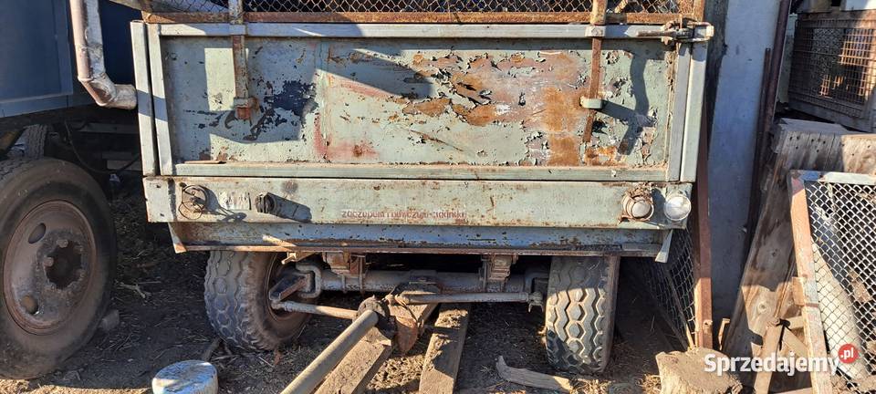 Rozrzutnik obonika Rolnictwo Wrocław