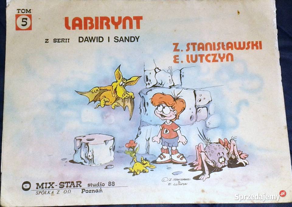 Dawid i Sandy Tom 5 Labirynt E Lutczyn Książki i Podręczniki Chełm