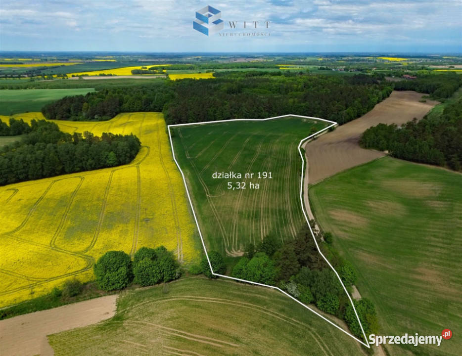 Grunt do sprzedania Rudno 53200m2