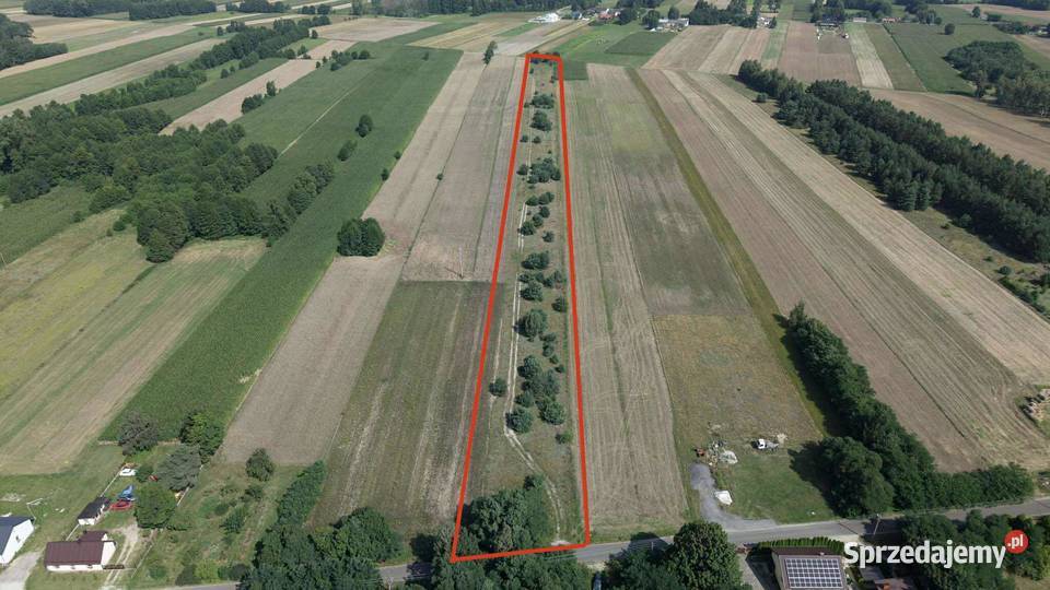 DZIAŁKA ROLNO BUDOWLANA 13500m 121500 Sprzedaż sprzedam