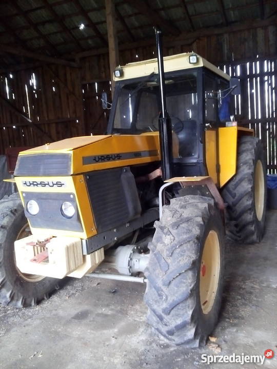 Ursus 1224 bez przeróbek pracuje na 14 ha Pordenowo