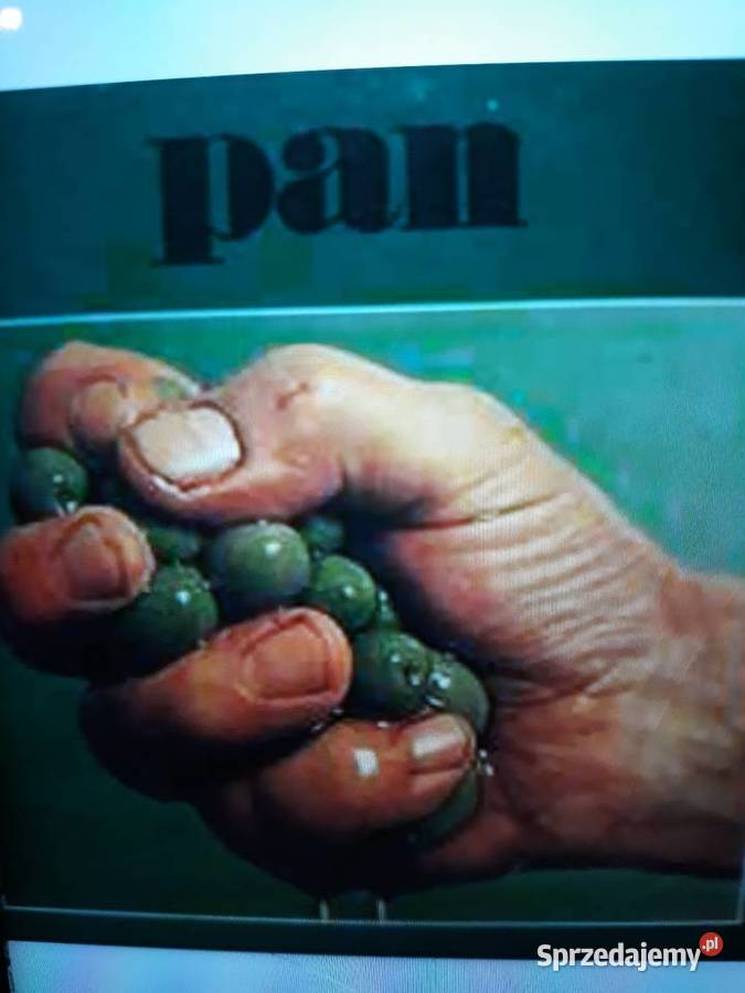 Archiwum duńskiego Prog Psych rocka PAN Pan 1971 Płyty i kasety podkarpackie