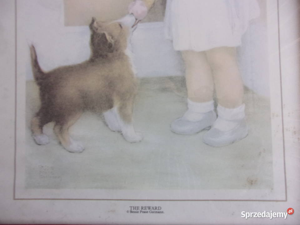 ładne 2 reprodukcje z serii Garden Collection Warszawa