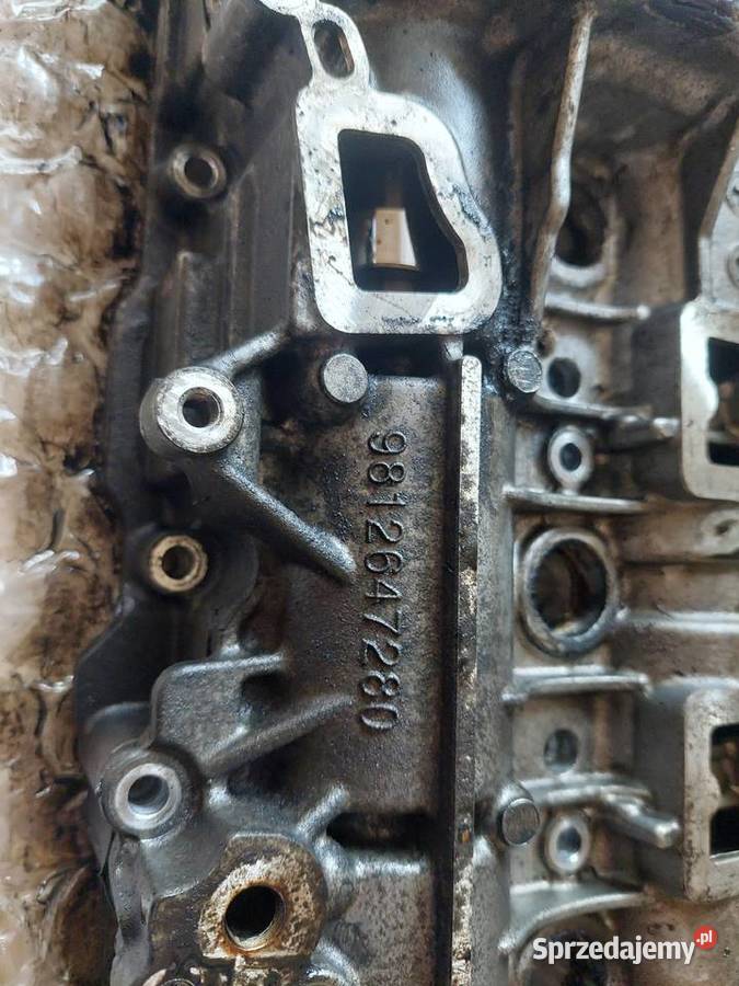 Peugeot Citroen Ford Opel 15 blue hdi 9812647280