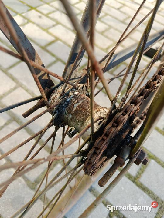 Rower z 30 lat RIEMANN Wołów