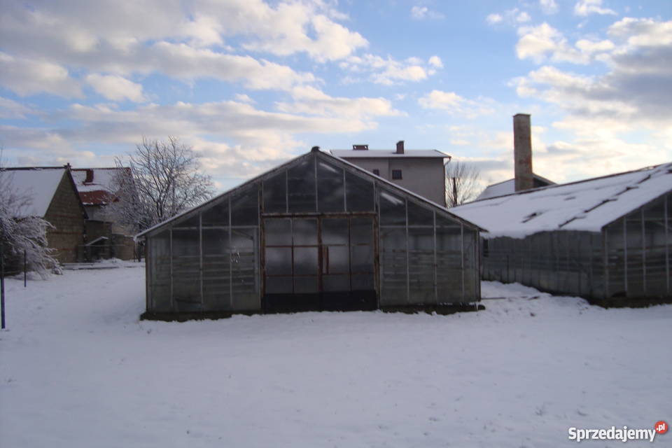 Szklarnie do rozbiórki 330 m2 Budownictwo i akcesoria Bochnia