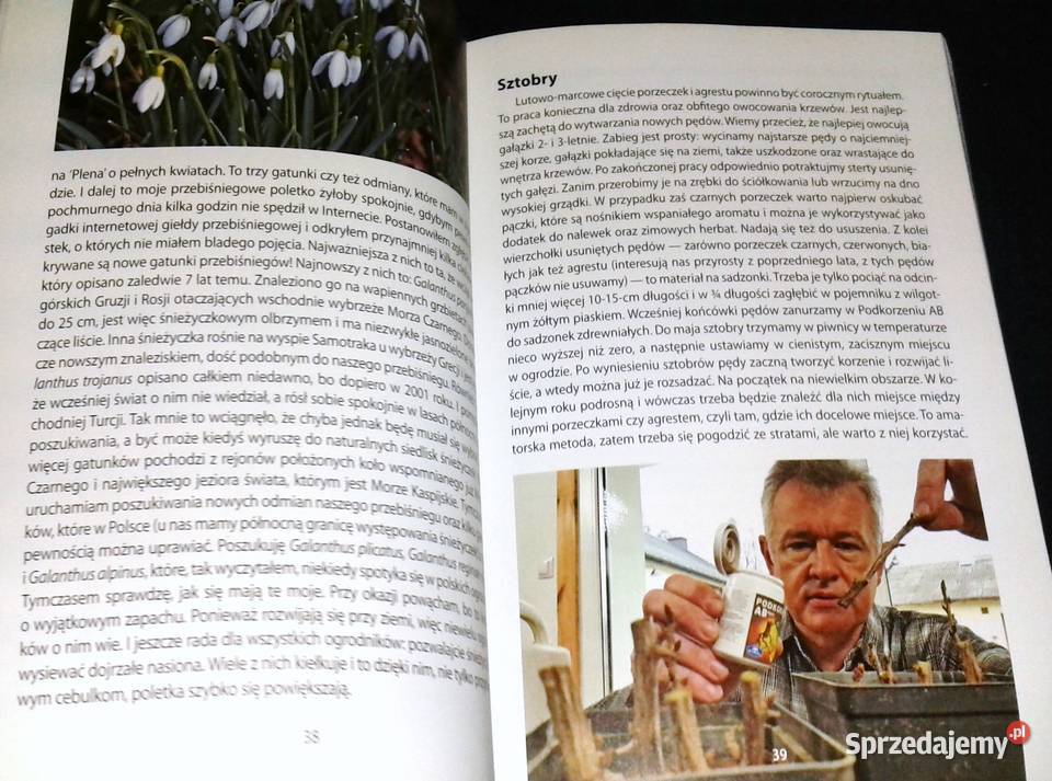 Wpływ księżyca 2020 Poradnik ogrodniczy Witold Chełm