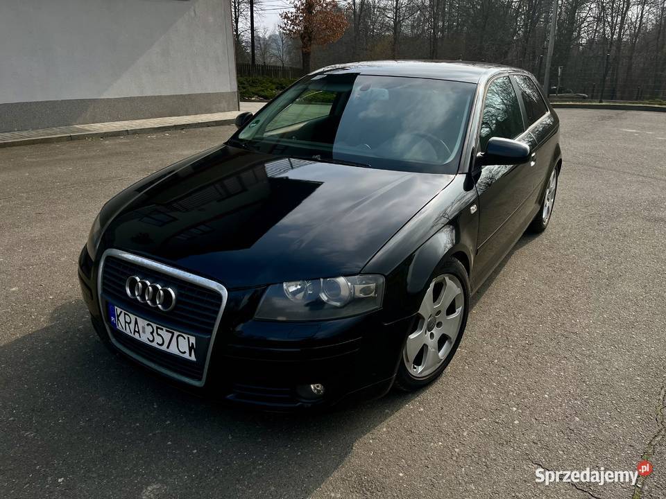 Audi a3 8p 2000cm3 Wrząsowice