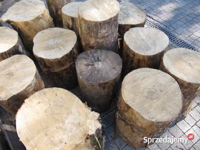 Drewno kominkoweBiałołęka mazowieckie Warszawa