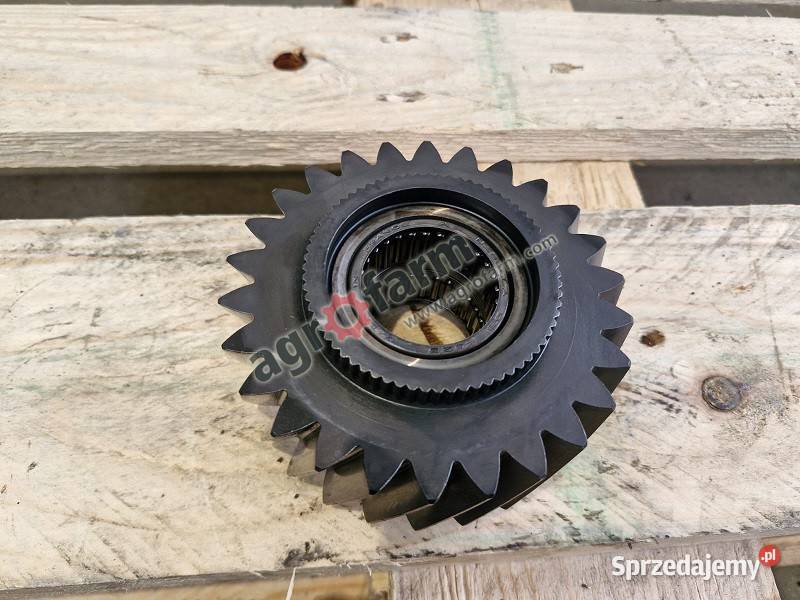 Koło zębate Massey Ferguson 6180 6260 6280 Byków